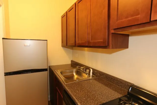 1164 N Dearborn St, ,  60610, USA 60610-unit#214-Chicago-IL