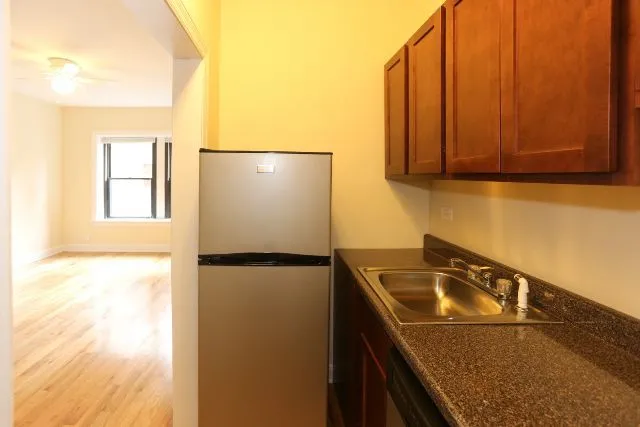 1164 N Dearborn St, ,  60610, USA 60610-unit#214-Chicago-IL