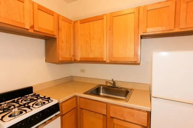 1164 N Dearborn St, ,  60610, USA 60610-unit#413-Chicago-IL