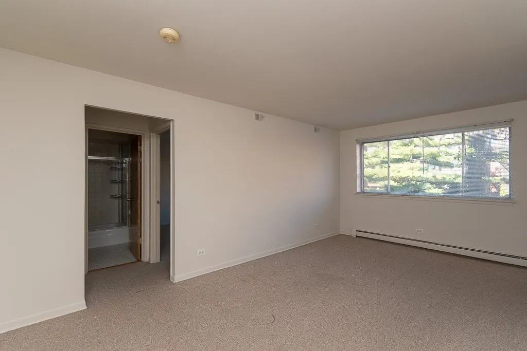 530 W Aldine Ave, ,  60657, USA 60657-unit#311-Chicago-IL
