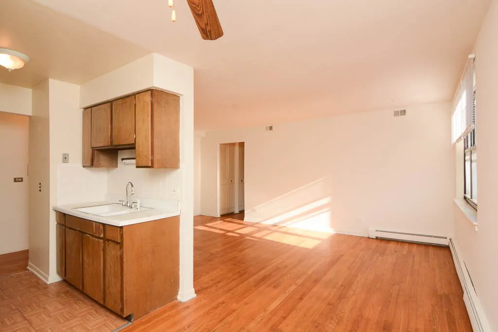 530 W Aldine Ave, ,  60657, USA 60657-unit#509-Chicago-IL