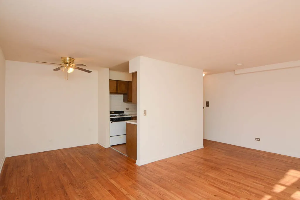 530 W Aldine Ave, ,  60657, USA 60657-unit#509-Chicago-IL