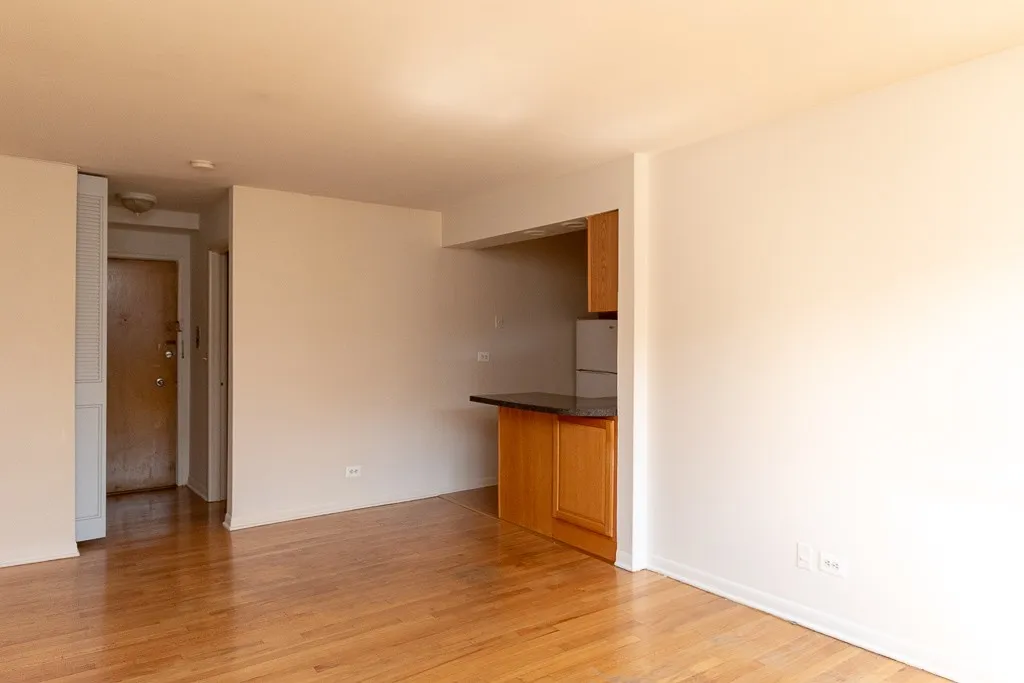 530 W Aldine Ave, , 60657, USA 60657-unit#508-Chicago-IL