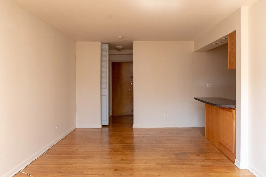 530 W Aldine Ave, , 60657, USA 60657-unit#508-Chicago-IL