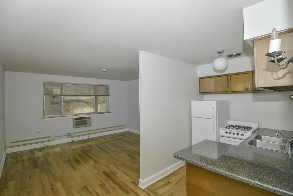 660 W Wrightwood Ave, ,  60614, USA 60614-unit#209-Chicago-IL