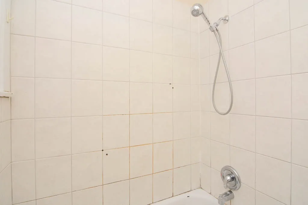 3325 N Lakewood Ave, ,  60657, USA 60657-unit#G-Chicago-IL