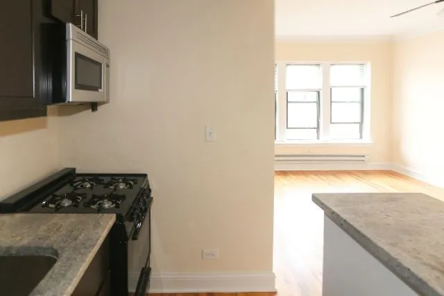 4614 N Paulina St, ,  60640, USA 60640-unit#311-Chicago-IL