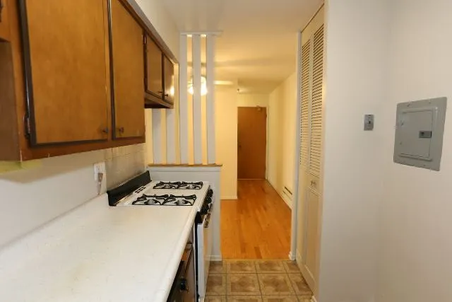 660 W Wrightwood Ave, ,  60614, USA 60614-unit#304-Chicago-IL