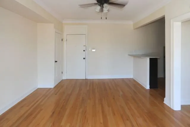 4614 N Paulina St, ,  60640, USA 60640-unit#204-Chicago-IL