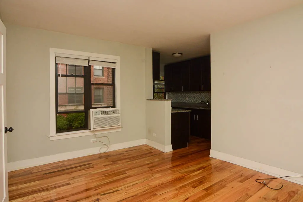 2902 N Mildred Ave, ,  60657, USA 60657-unit#1C-Chicago-IL