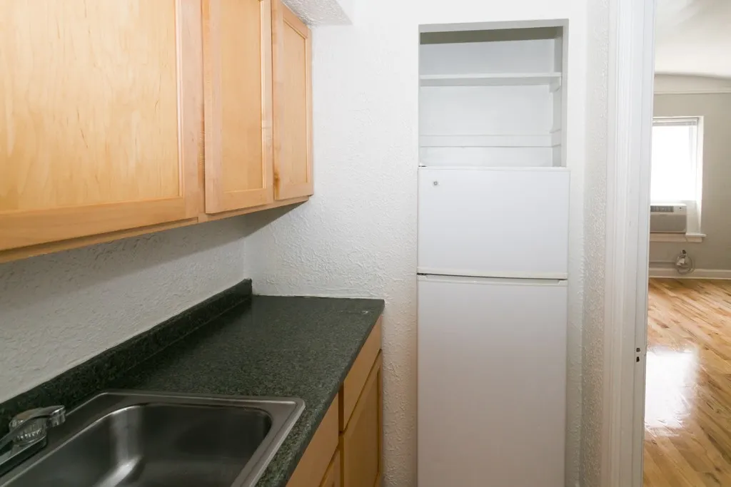 536 W Arlington Pl, ,  60614, USA 60614-unit#306-Chicago-IL