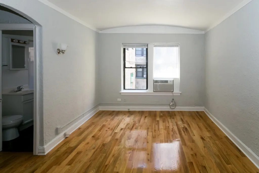 536 W Arlington Pl, ,  60614, USA 60614-unit#306-Chicago-IL