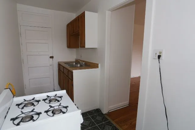 3263 W Wrightwood Ave, , 60647, USA 60647-unit#2o-Chicago-IL