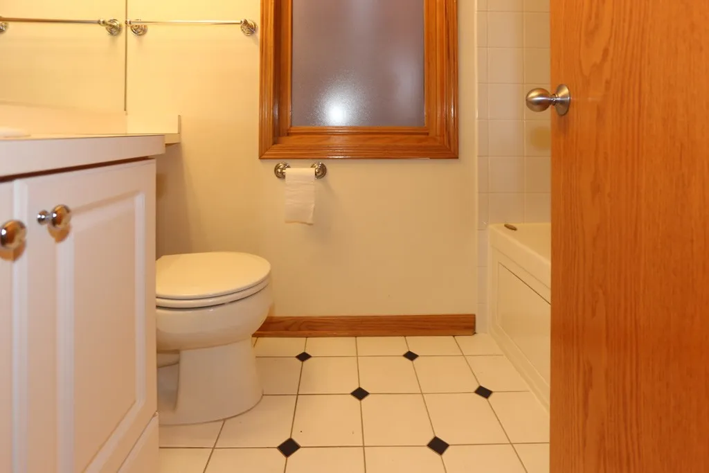 824 W Buckingham Pl, ,  60657, USA 60657-unit#1-Chicago-IL