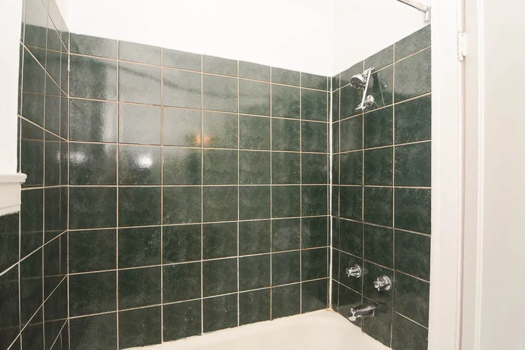 4851 N Damen Ave, ,  60625, USA 60625-unit#215-Chicago-IL