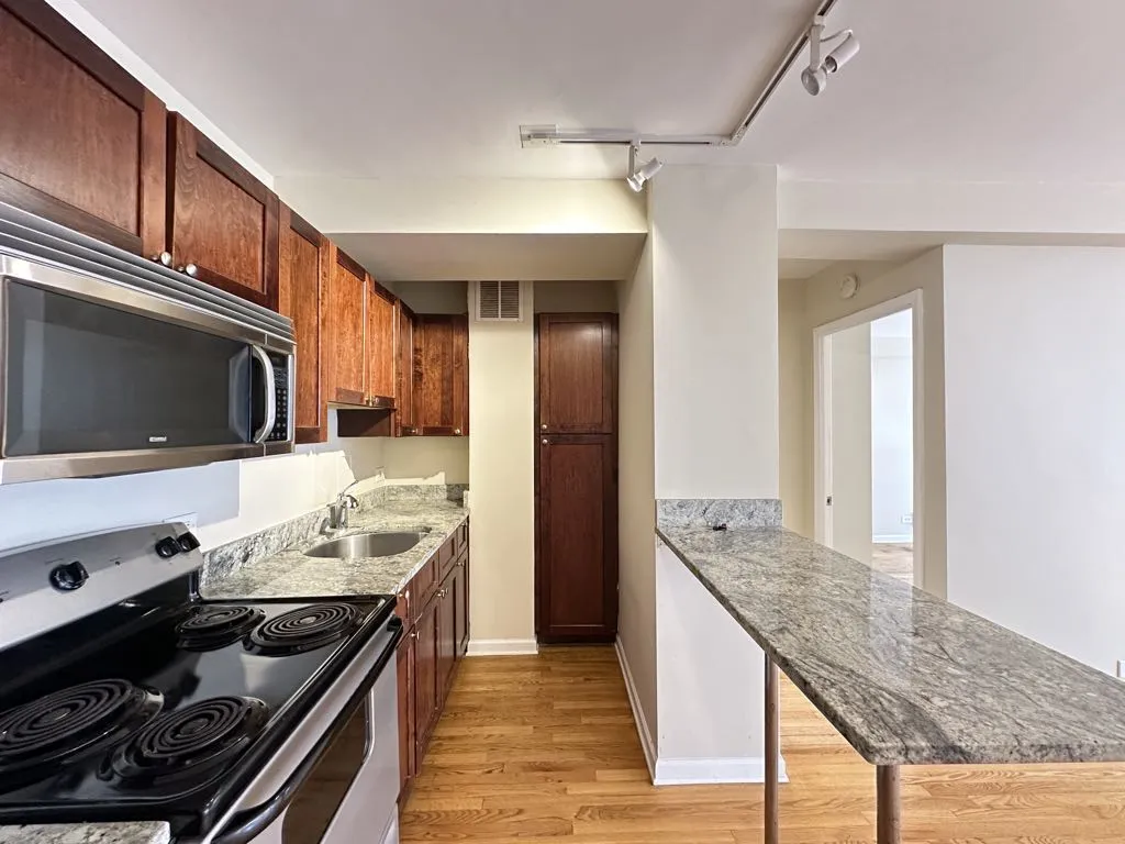 4180 N Marine Dr, , 60613, USA 60613-unit#1102-Chicago-IL