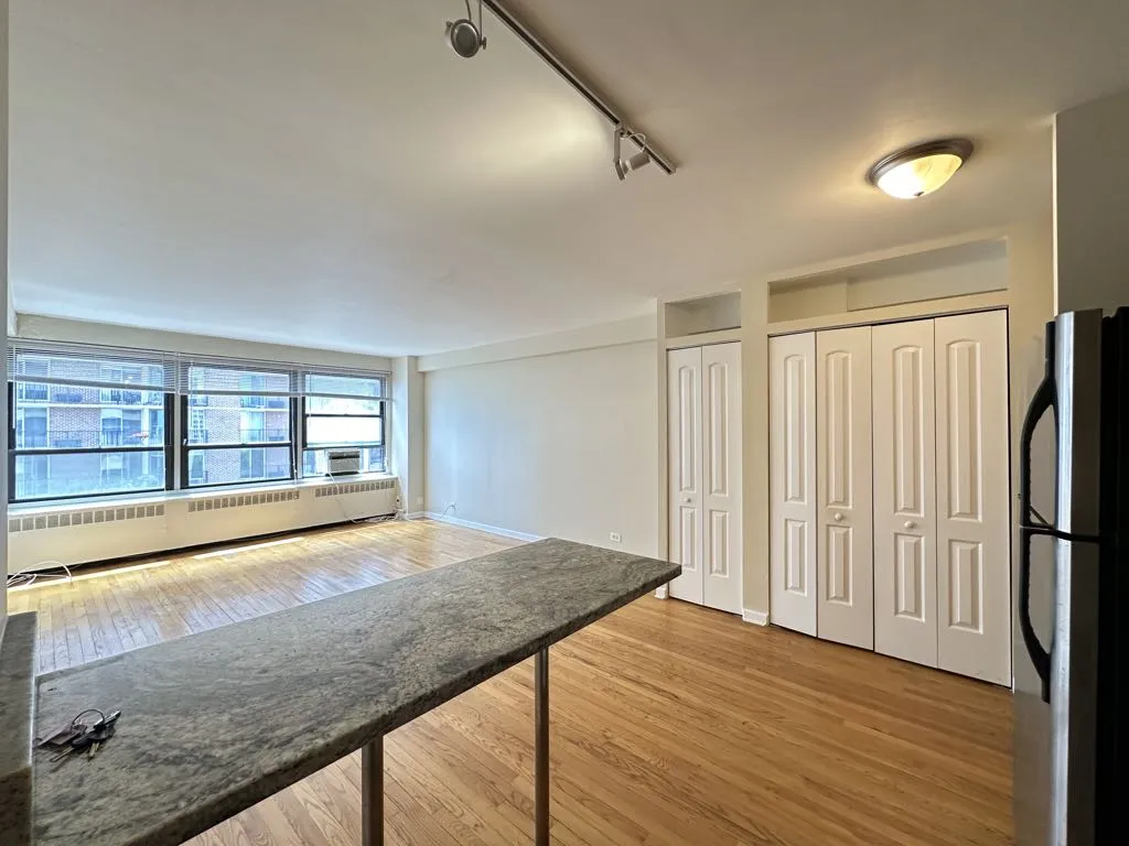 4180 N Marine Dr, , 60613, USA 60613-unit#1102-Chicago-IL