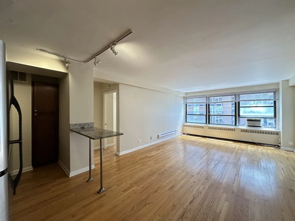 4180 N Marine Dr, , 60613, USA 60613-unit#1102-Chicago-IL