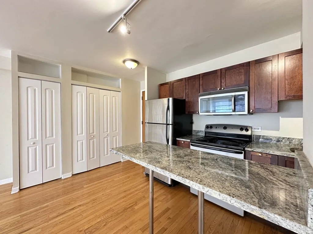4180 N Marine Dr, , 60613, USA 60613-unit#1102-Chicago-IL