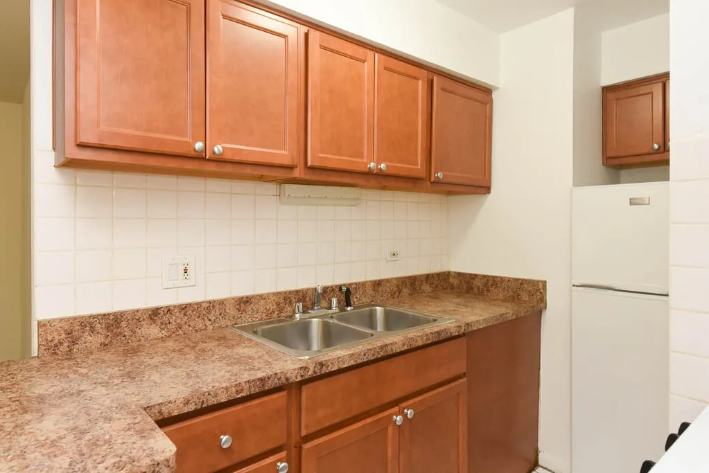 540 W Roscoe St, ,  60657, USA 60657-unit#288-Chicago-IL