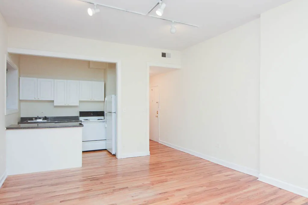 1425 N Dearborn St, , 60610, USA 60610-unit#2C-Chicago-IL