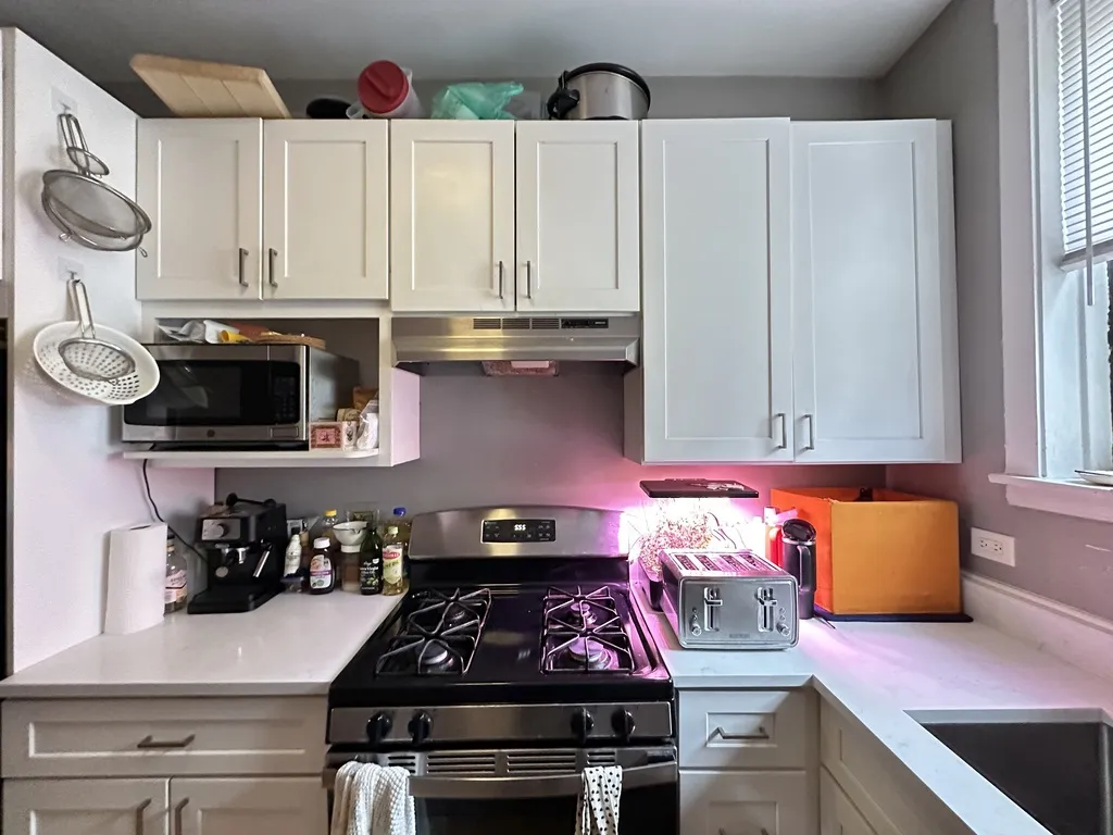 439 W Melrose St, ,  60657, USA 60657-unit#3C-Chicago-IL