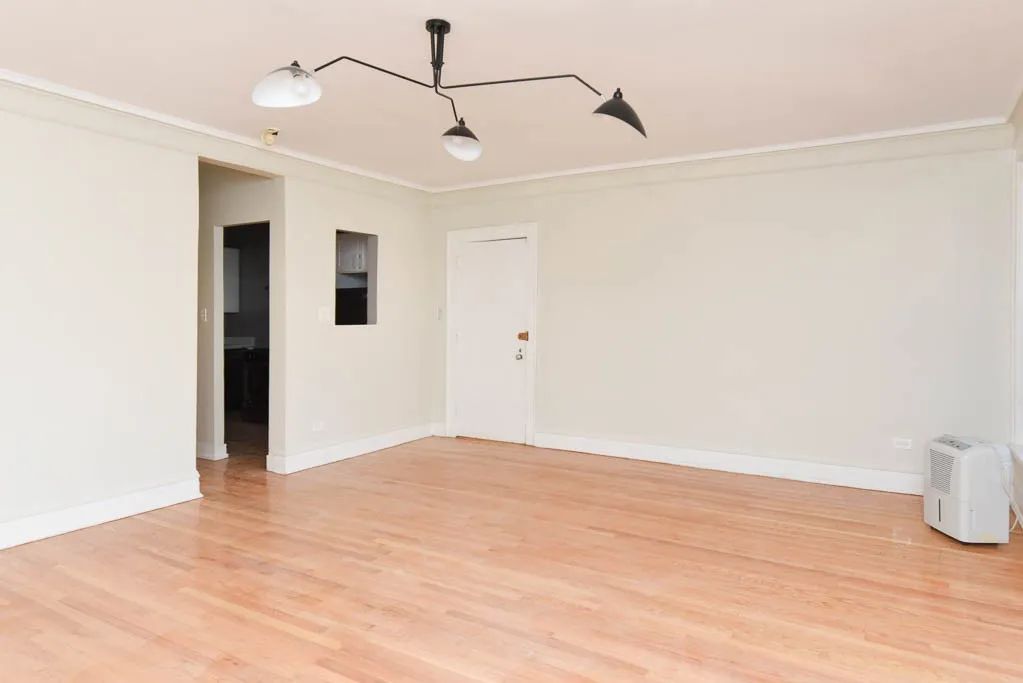 441 W Melrose St, ,  60657, USA 60657-unit#2A-Chicago-IL