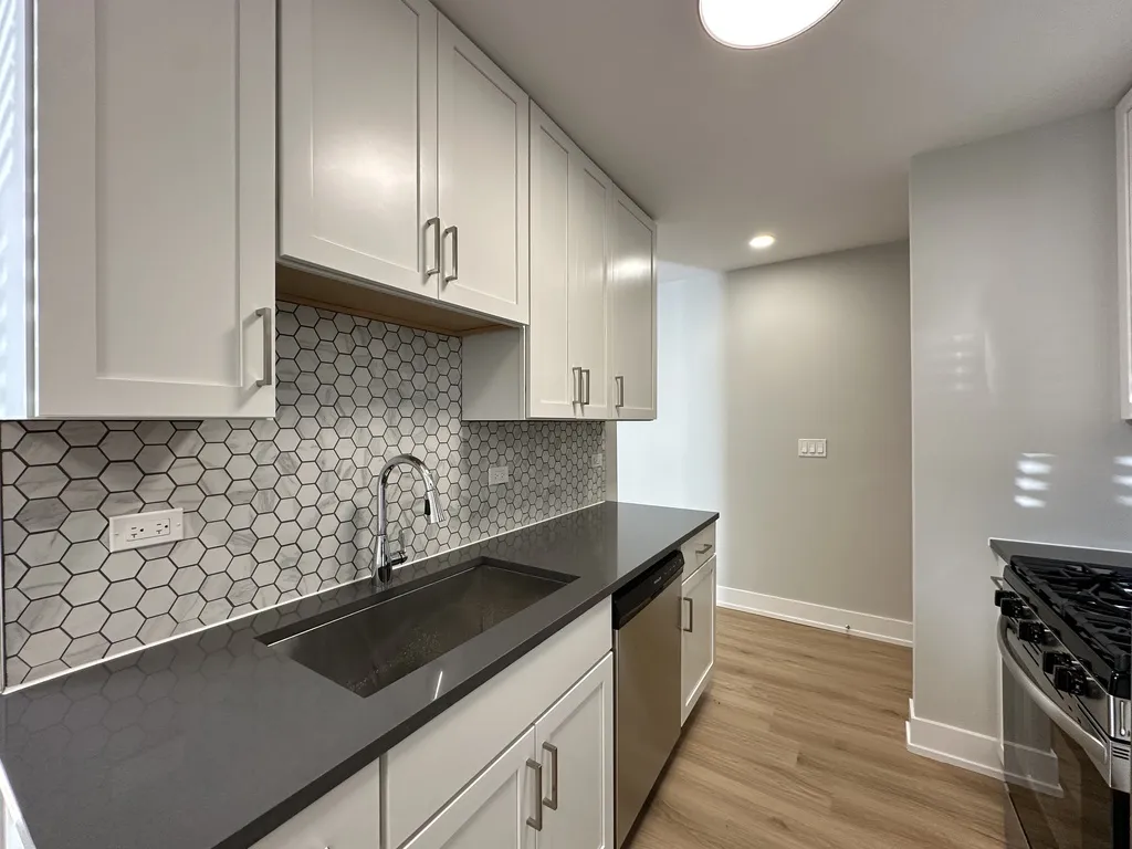 530 W Aldine Ave, ,  60657, USA 60657-unit#314-Chicago-IL