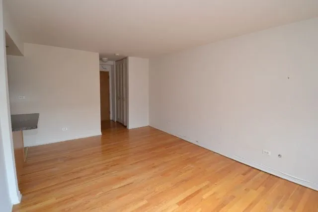 530 W Aldine Ave, , 60657, USA 60657-unit#506-Chicago-IL