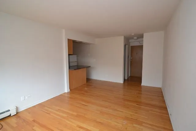 530 W Aldine Ave, , 60657, USA 60657-unit#506-Chicago-IL