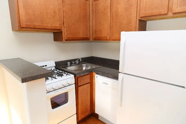 2844 N Orchard St, ,  60657, USA 60657-unit#30-Chicago-IL