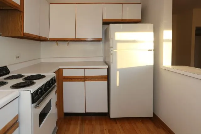 635 W Barry Ave, ,  60657, USA 60657-unit#406-Chicago-IL