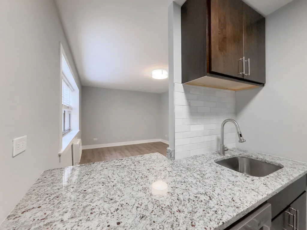 445 W Barry Ave, ,  60657, USA 60657-unit#430-Chicago-IL