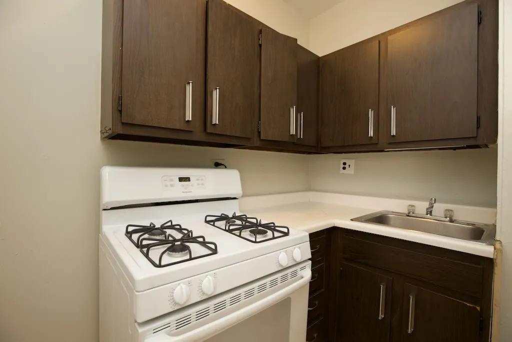 3722 N Pine Grove Ave, ,  60613, USA 60613-unit#3E-Chicago-IL