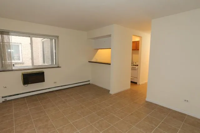 663 W Grace St, , 60613, USA 60613-unit#218-Chicago-IL