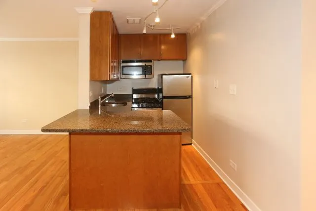 625 W Wrightwood Ave, , 60614, USA 60614-unit#310-Chicago-IL