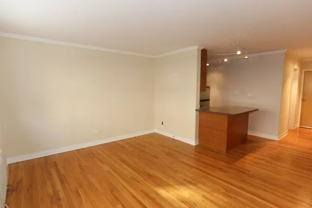 625 W Wrightwood Ave, , 60614, USA 60614-unit#310-Chicago-IL