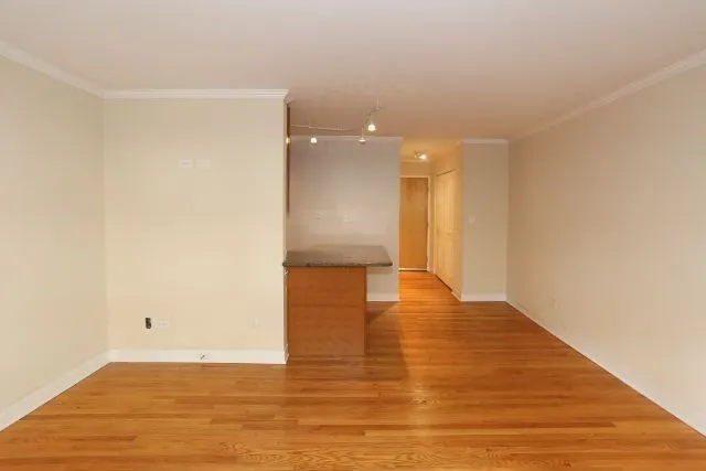 625 W Wrightwood Ave, , 60614, USA 60614-unit#310-Chicago-IL