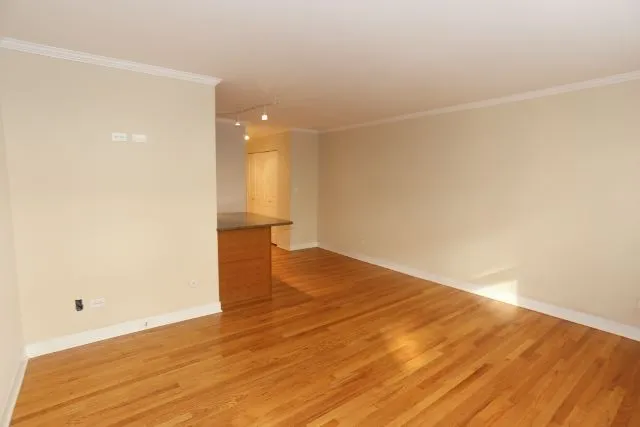 625 W Wrightwood Ave, , 60614, USA 60614-unit#310-Chicago-IL