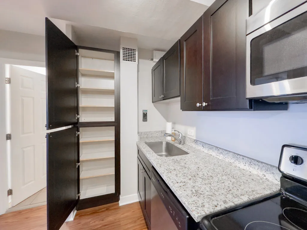 4180 N Marine Dr, ,  60613, USA 60613-unit#308-Chicago-IL