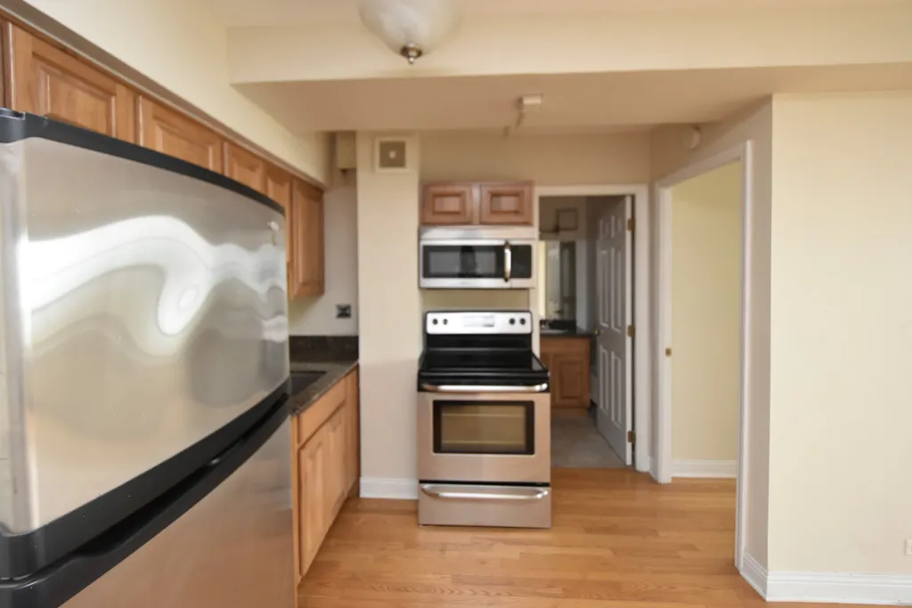 4180 N Marine Dr, ,  60613, USA 60613-unit#1207-Chicago-IL