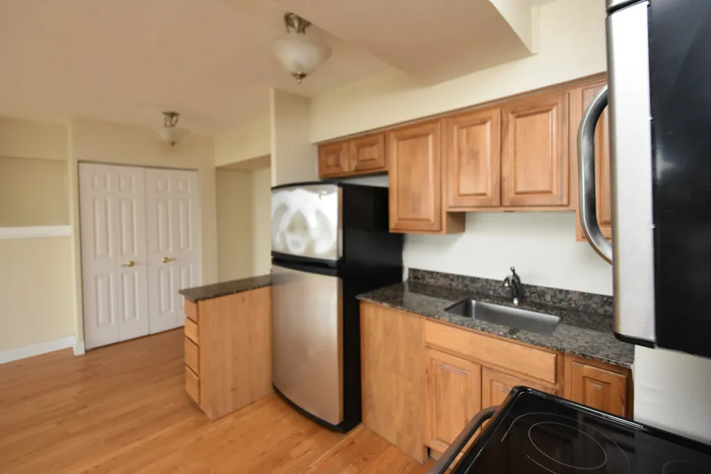 4180 N Marine Dr, ,  60613, USA 60613-unit#1207-Chicago-IL