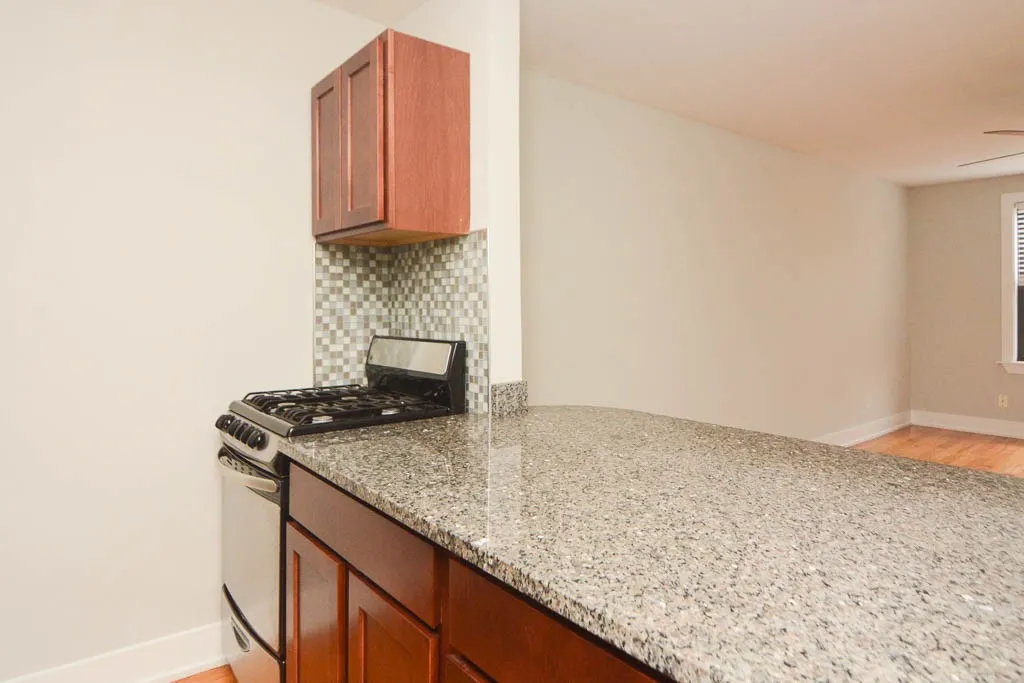 445 W Barry Ave, ,  60657, USA 60657-unit#502-Chicago-IL