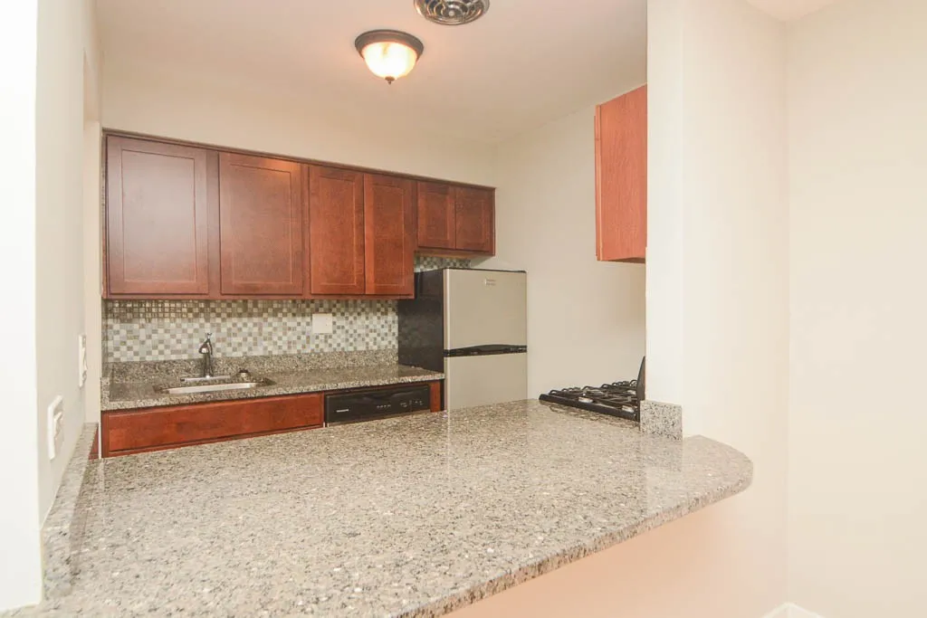 445 W Barry Ave, ,  60657, USA 60657-unit#502-Chicago-IL