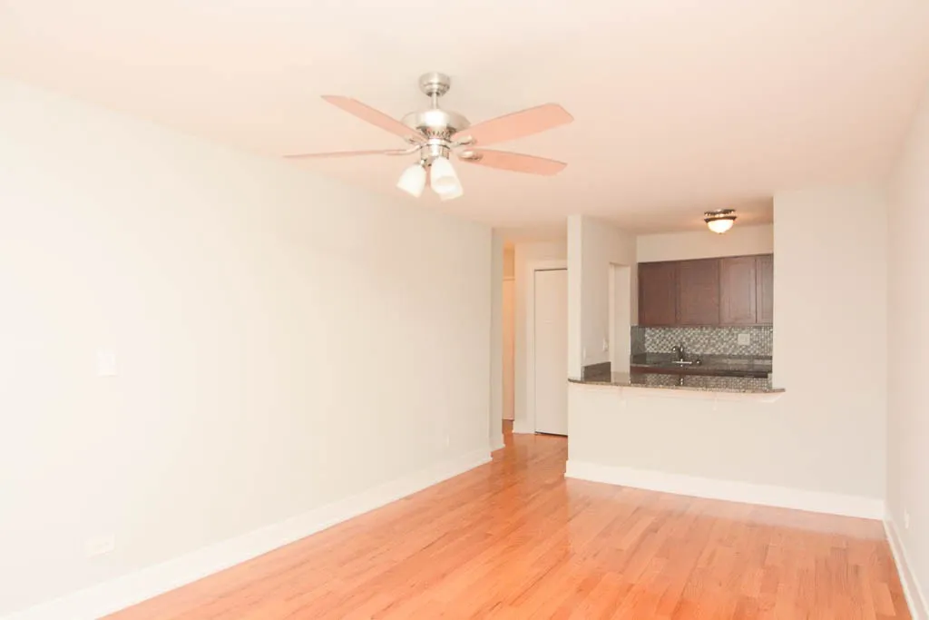 445 W Barry Ave, ,  60657, USA 60657-unit#502-Chicago-IL