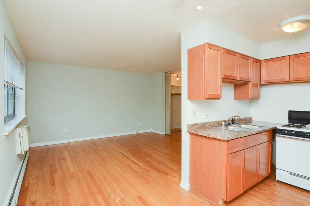510 W Briar Pl, , 60657, USA 60657-unit#308-Chicago-IL