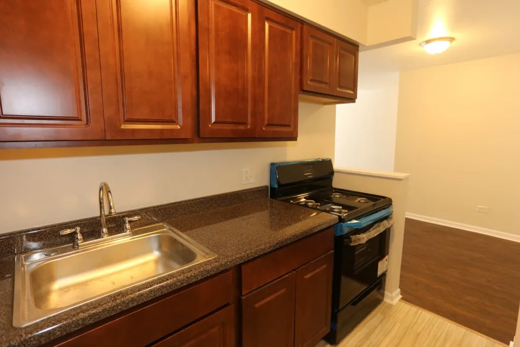 1040 W Hollywood Ave, , 60660, USA 60660-unit#305-Chicago-IL