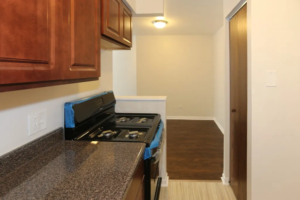 1040 W Hollywood Ave, , 60660, USA 60660-unit#305-Chicago-IL