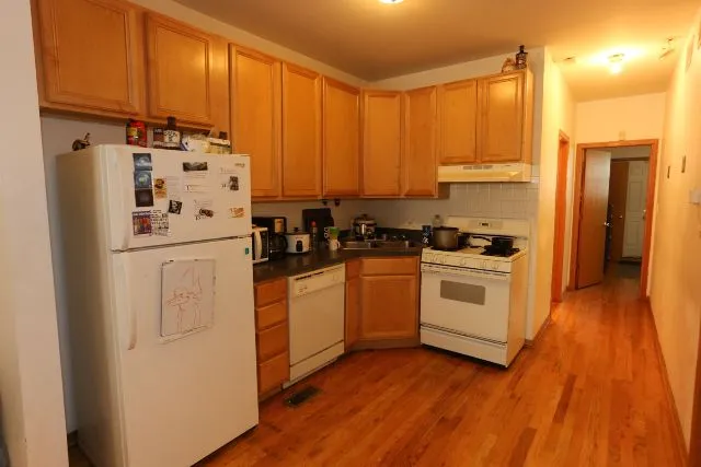 1033 N Mozart St, ,  60622, USA 60622-unit#1-Chicago-IL