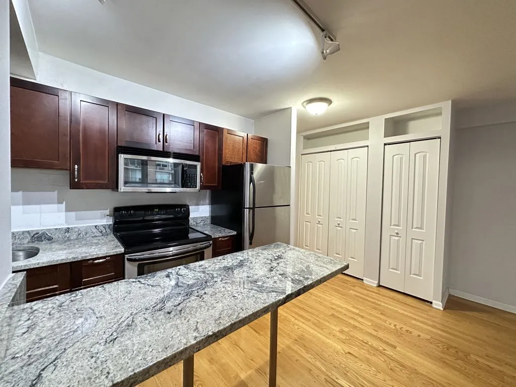 4180 N Marine Dr, , 60613, USA 60613-unit#1501-Chicago-IL